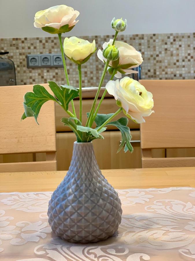 האמלן Ferienwohnung Janus Altstadt-Hameln Haus 2 Inklusive Parkplatz - Mit Und Ohne Terrasse Oder Loggia מראה חיצוני תמונה